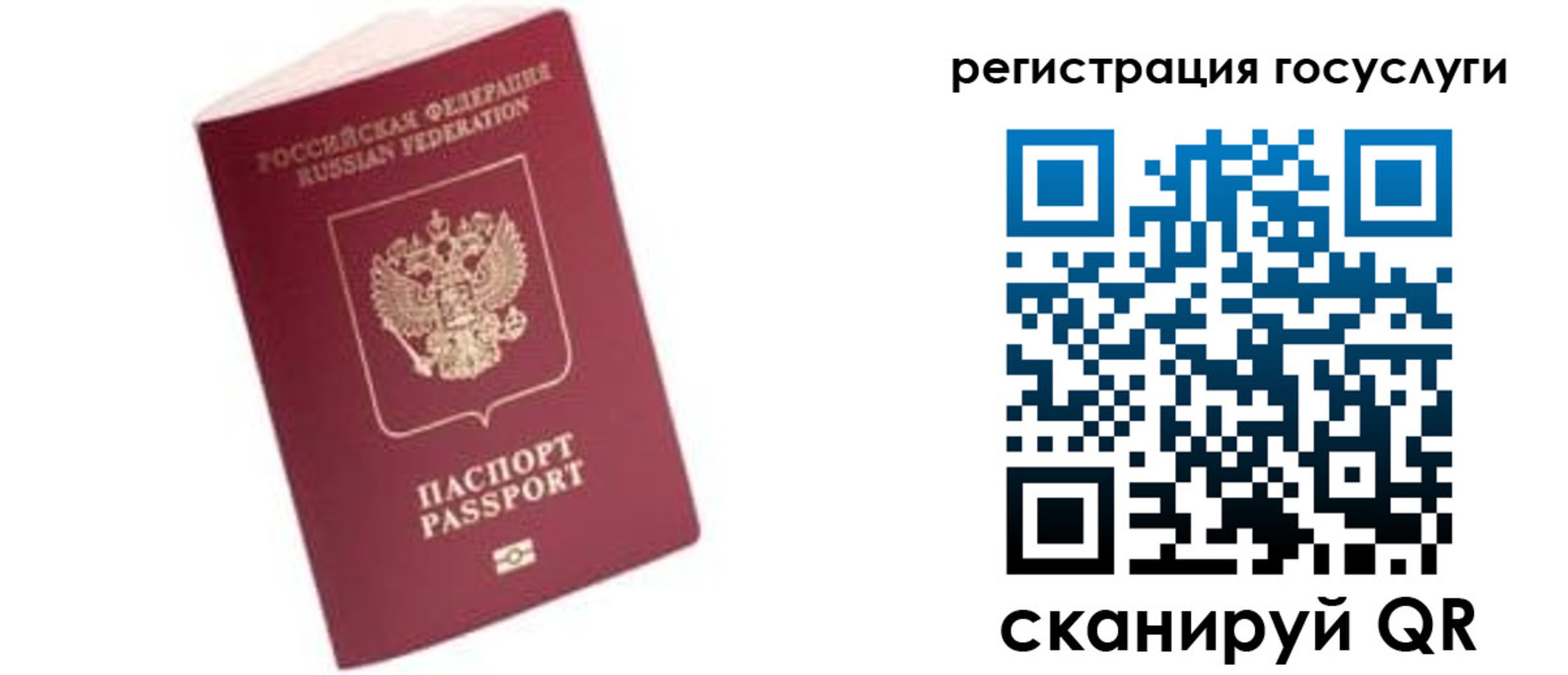 прописка поиск в Гвардейске